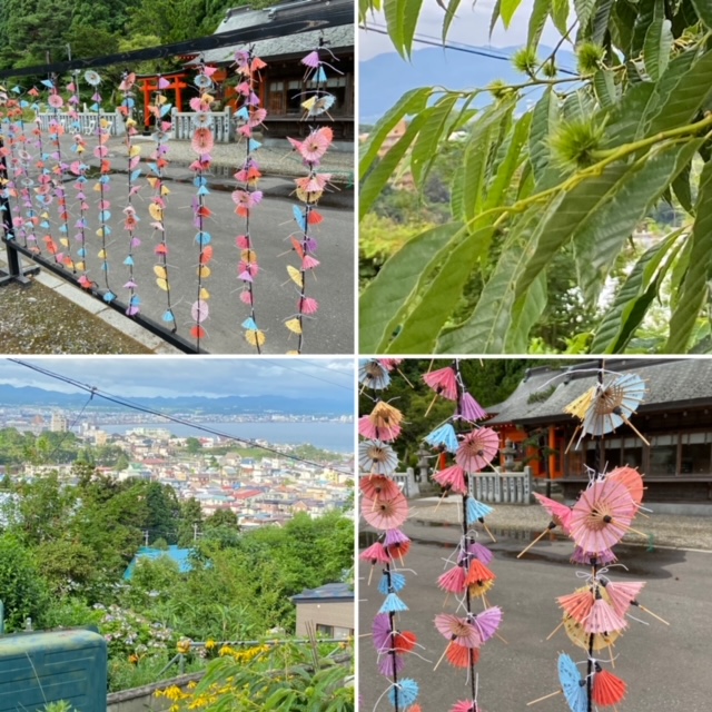 傘おみくじと、神社近辺風景。