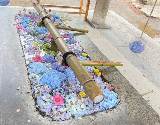 函館八幡宮。花手水。